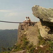 Kathy Bryant's photo