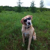 Rej Leblanc's photo