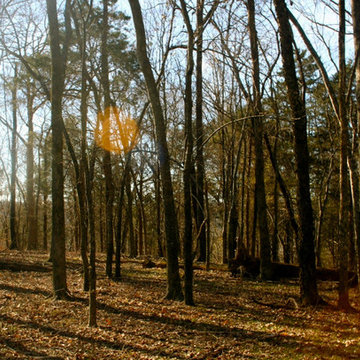 Hot Rock Hollow