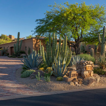 Bertsch - Estancia