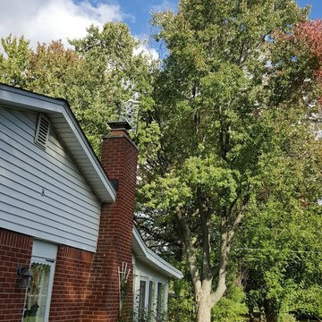 "Cable Cutting Services" via antenna Warren home.