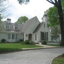 Leafy Trees
