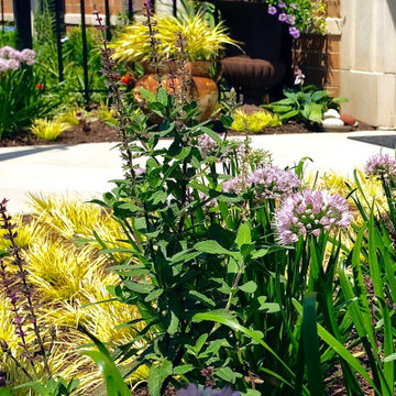 Modern Entry Garden