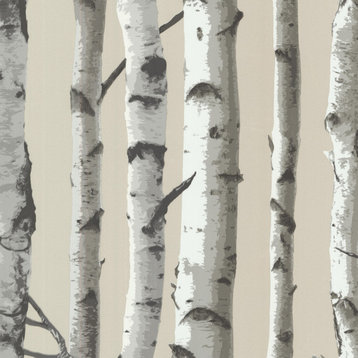 Irvin Gray Birch Tree Wallpaper, Bolt