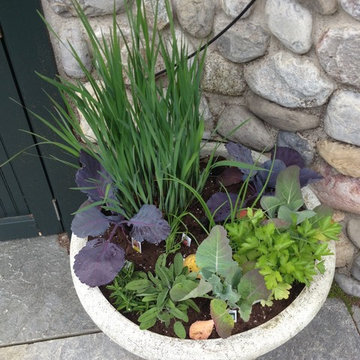 Seasonal Container Plantings & Changeovers