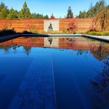 Pool/ hot tub combination works as a reflecting pond for the surrounding landsca