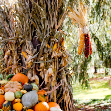 Houzz TV: Take a Leaf-Peeping Road Trip in New England