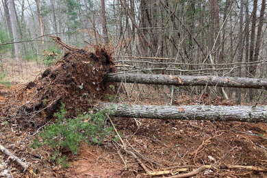 Blue Ridge Land Clearing and Driveway