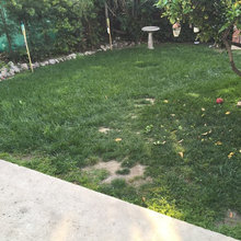 Patio Ideas