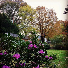 My Country Home
