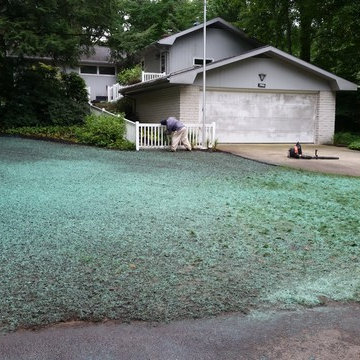 Long Beach Regrade and Contour Lawn