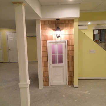 Basement Remodel