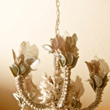 Tropical Seashell Chandelier