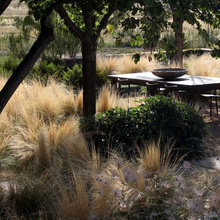 Landscape Design Ideas