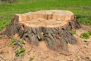 Photo of a landscaping in Bridgeport.