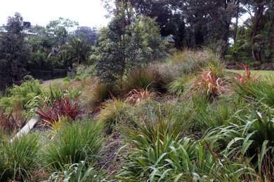 This is an example of a large contemporary sloped full sun xeriscape in Melbourne.