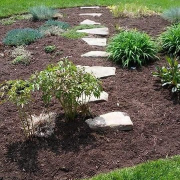 Our Work