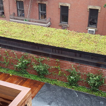 NYC Living Wall & Green Roof Project