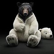 Borislav Mihaylov's photo