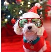 Debra Farmer's photo