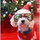 debra_farmer75
