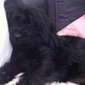 Amandine Gaspari's photo