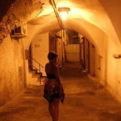Sara Gi's photo