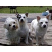 Lynne Richardson's photo