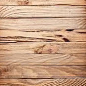 Matthew Laman's photo