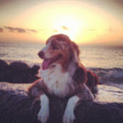 Peter Townsend Jr's photo
