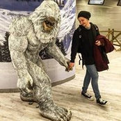 Gabriel Bica's photo
