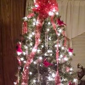 Foto von Lee Butler