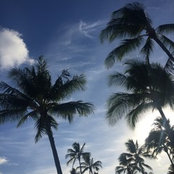 Steve Segel's photo