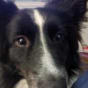 Fran Downs's photo