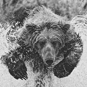 Brian Bauman's photo