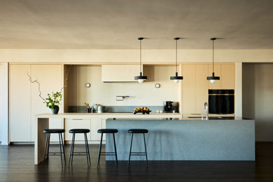 Example of a minimalist kitchen design in Boston