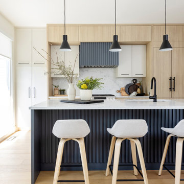 GOVERMENT LANE RENOVATION | TOWNHOUSE | BURNABY