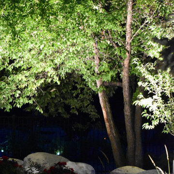 Poplar Paradise