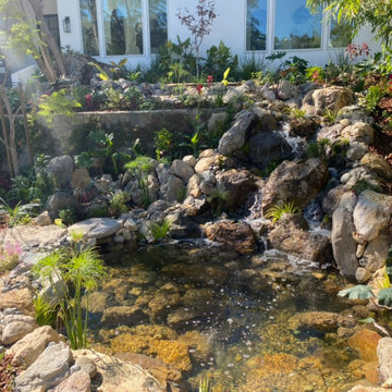 Encino Pond, Pondless Waterfall & Landscape Project