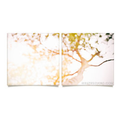 Beneath a tree Artwork - Prints And Posters