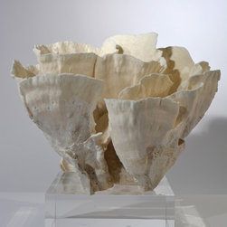 Corals - Products