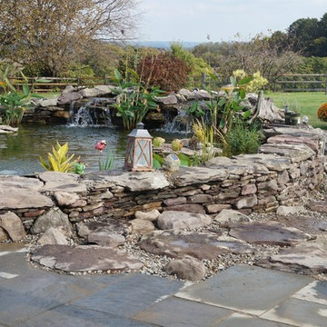Backyard Makeover - Turtle Paradise!