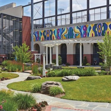 School and University Collaborations