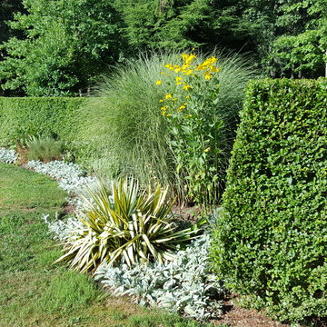 My Garden