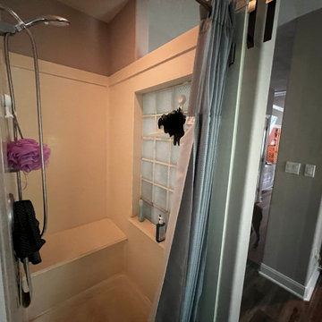 Shower Remodel before picture