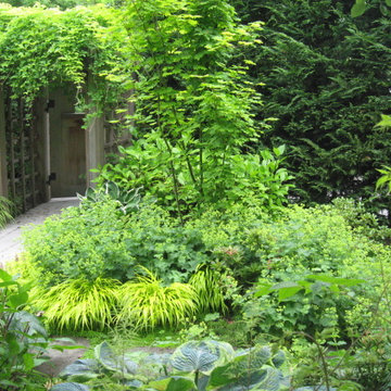 Mercer Island 1
