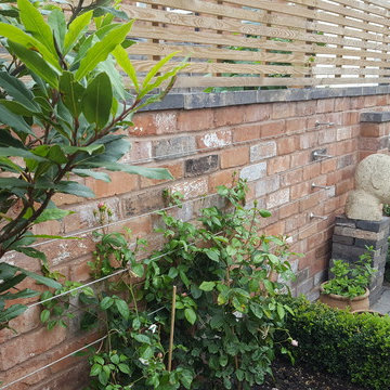 Cute Courtyard