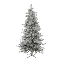christmas trees