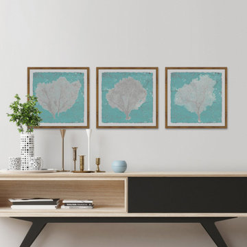 Graphic Sea Fan IX Triptych