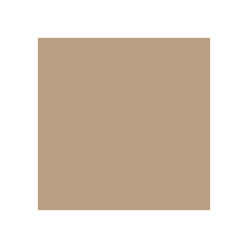 Latte paint color